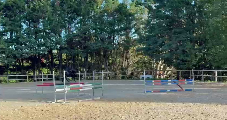 Or Noir du Plantey vidéo (2)